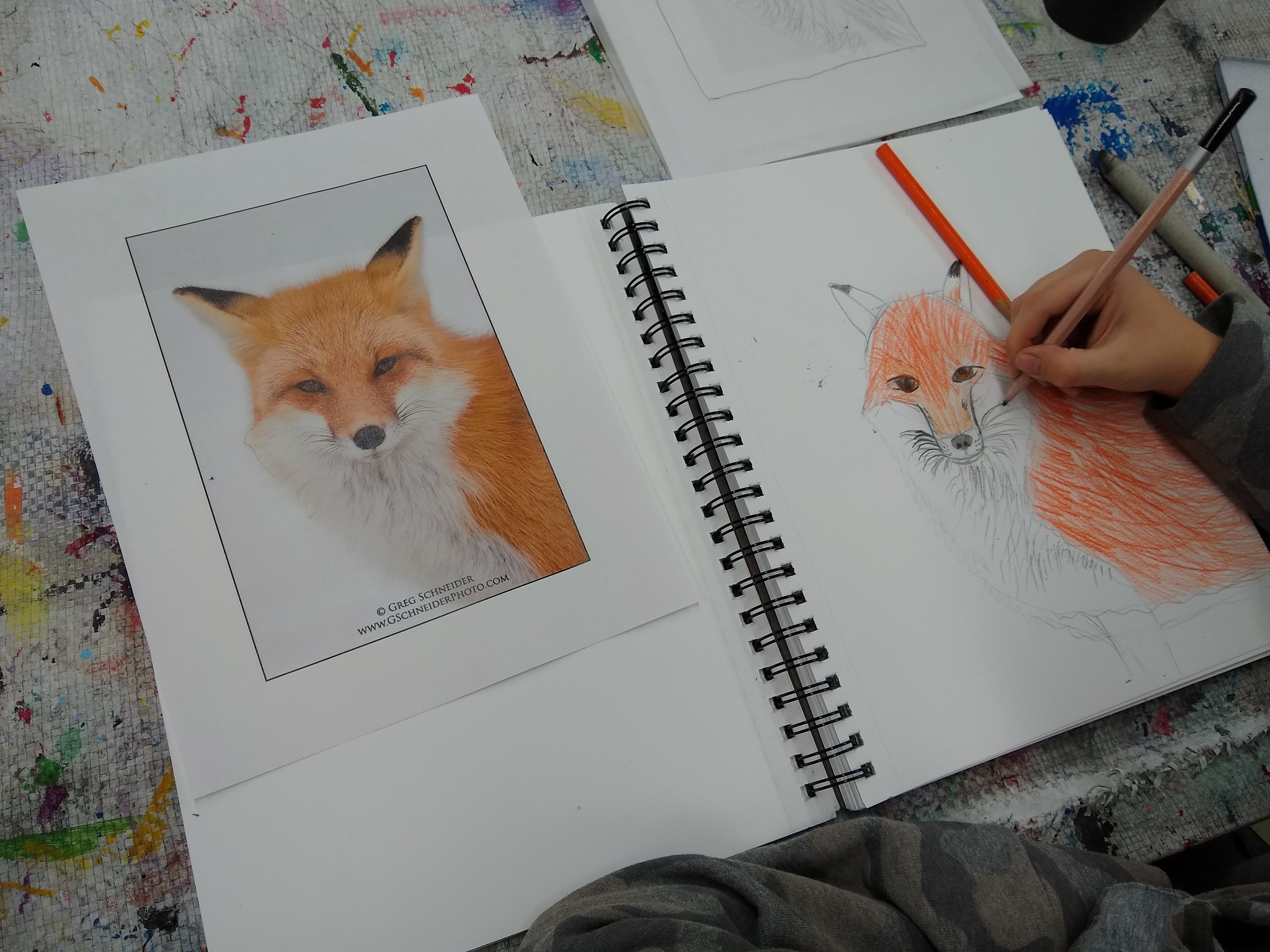 Vernon Community Arts Centre - Drawing Animals: Ages 8-12