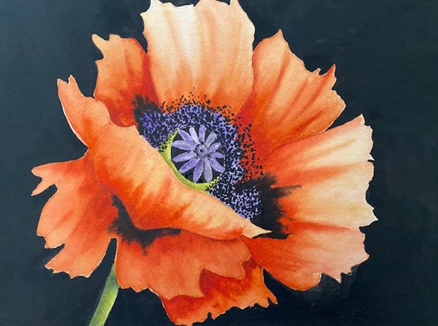 Vernon Community Arts Centre - Watercolour Poppy for Remembrance