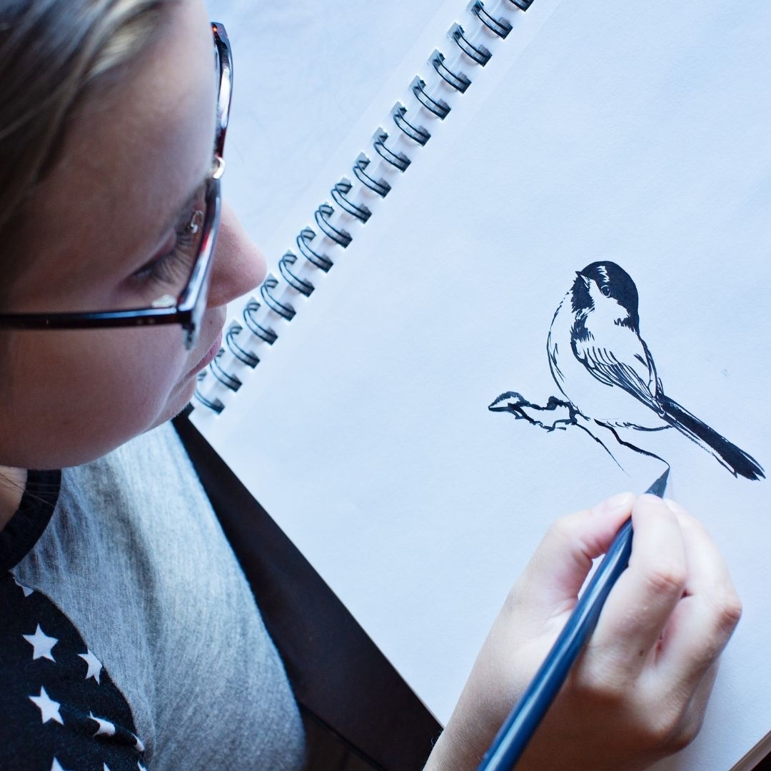 Vernon Community Arts Centre - Drawing Birds: Ages 8-12