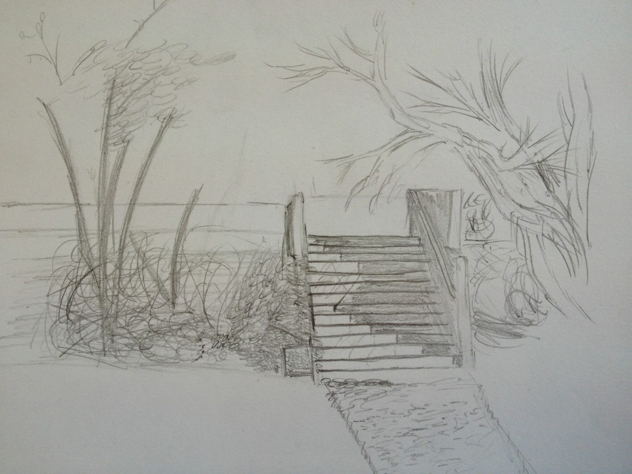 Vernon Community Arts Centre - Drawing the Landscape