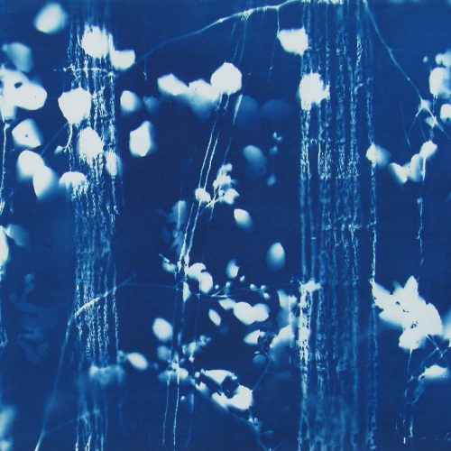 printmaking project