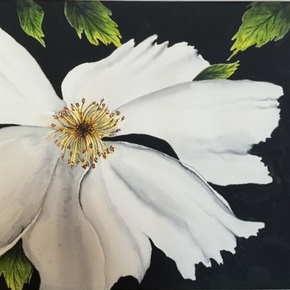 white flower by Jasper (2)